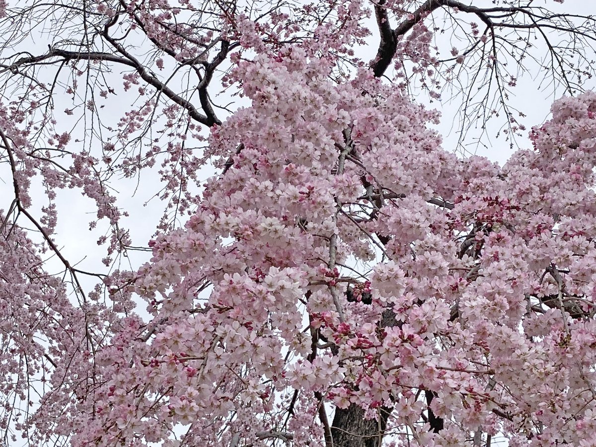 五島美術館 tweet media