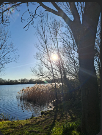 Robin Giddings Writes tweet media