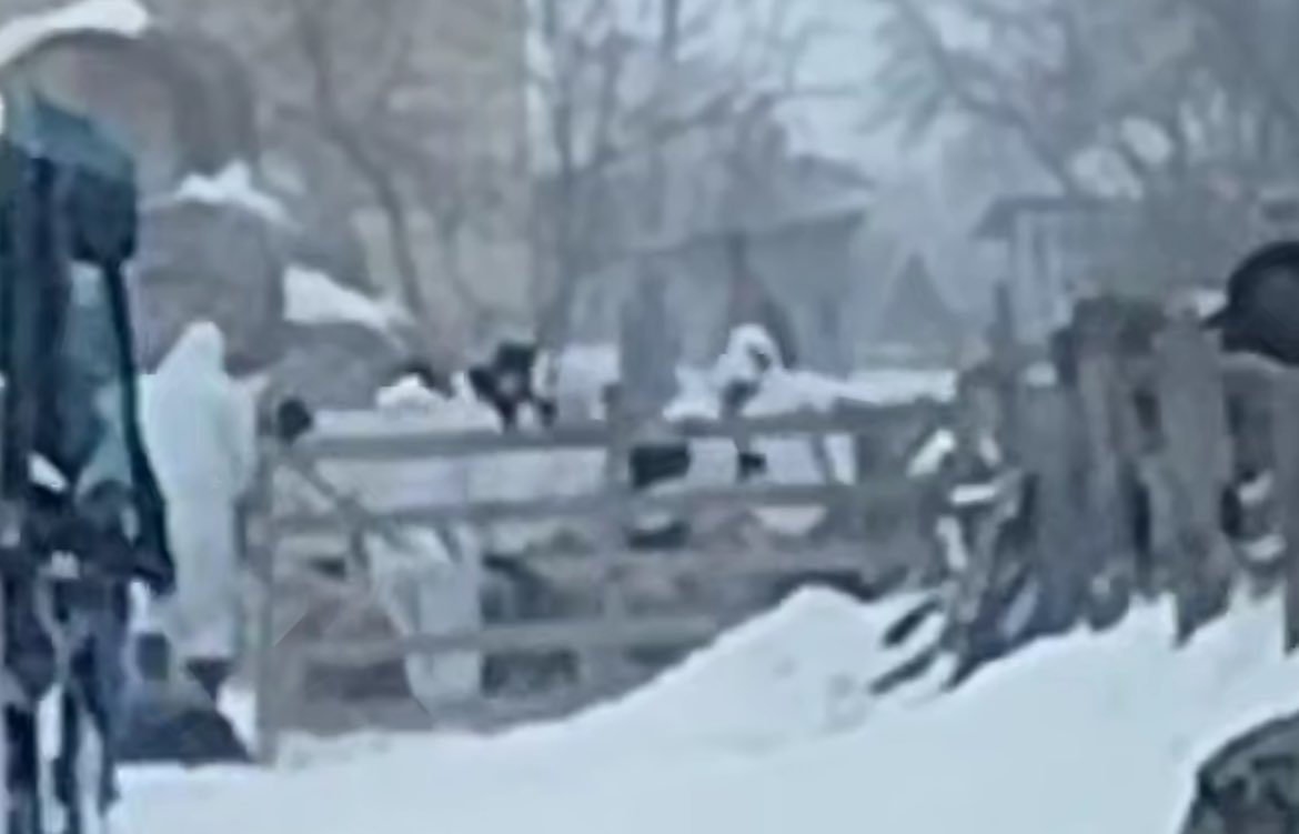 MAKS 25 🇺🇦👀 tweet media