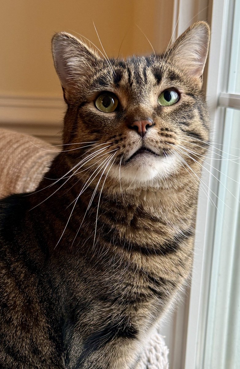 For the love of Missy. tweet media