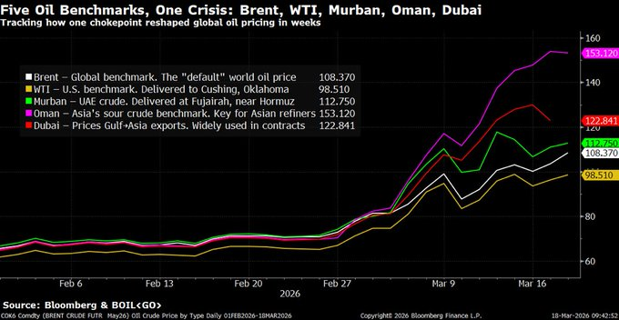 lsudowski tweet media