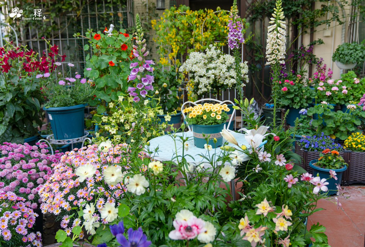 Larry Smith tweet media