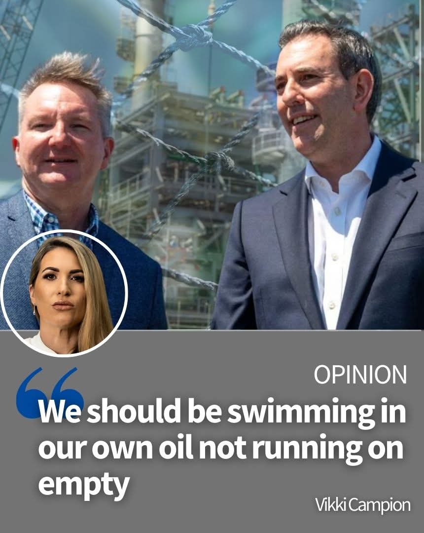 muffy kittens 🦘🇦🇺🌷🌍🦜🐕🐕 tweet media