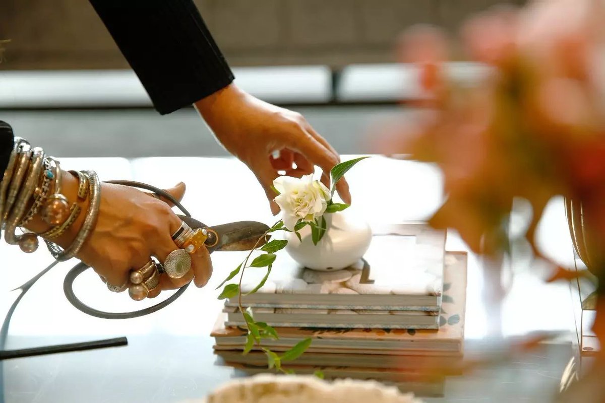 Edgar Parra tweet media