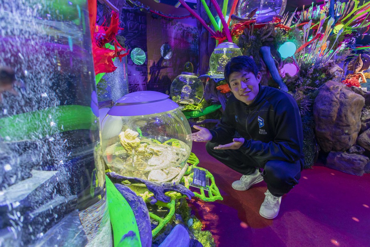 京阪電車おでかけ情報【公式】 tweet media