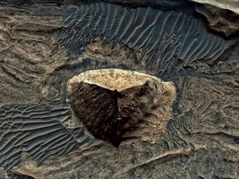 CurioSphereAI tweet media