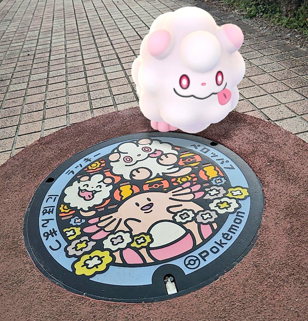 新しく9個増えるということは、福島県のポケふたは43個になりますね！59市町村コンプリートも近い😳
福島県の各地にポケモンがいるよ！
ぜひ、探しに行ってみてね！ #ポケふた