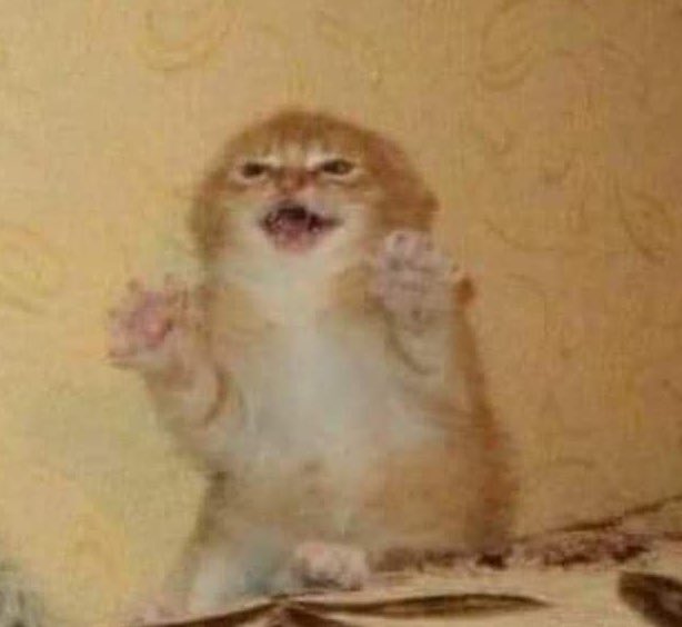 ᵏᵃʳˡ tweet media