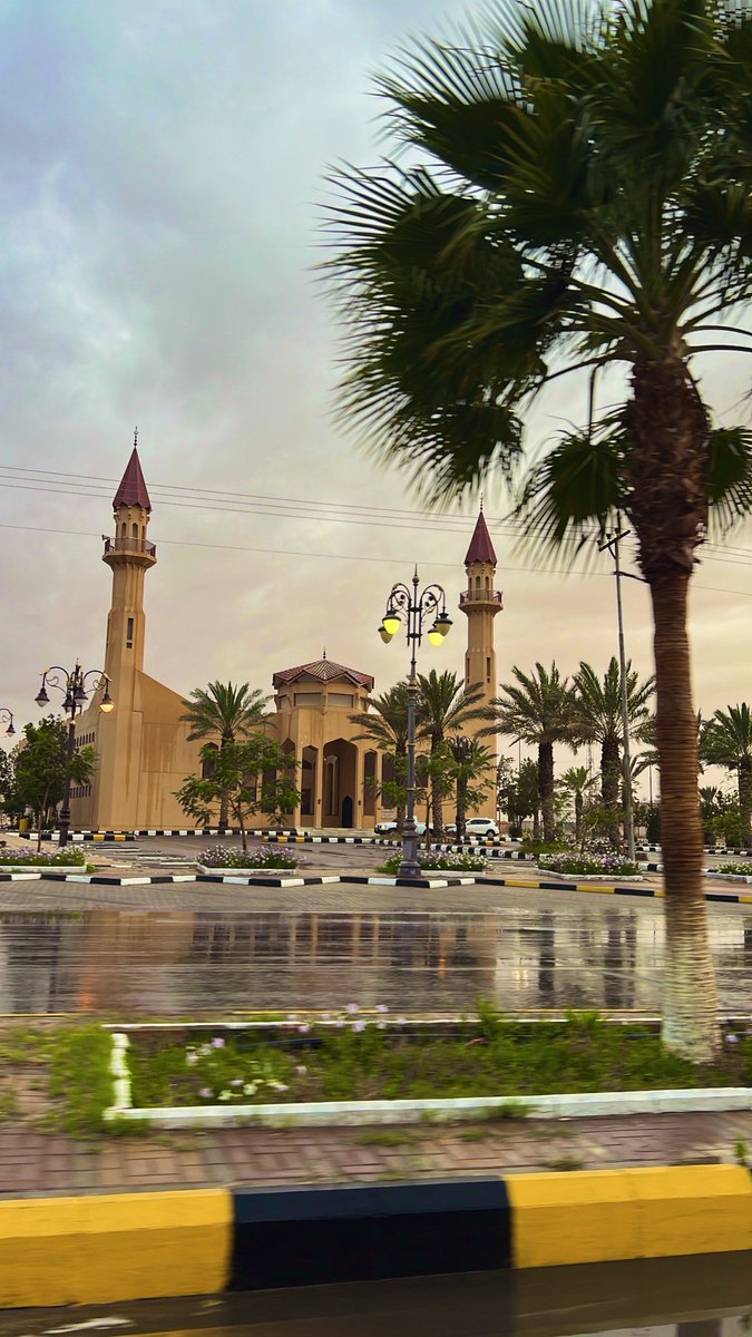 Mujahid alanzy tweet media