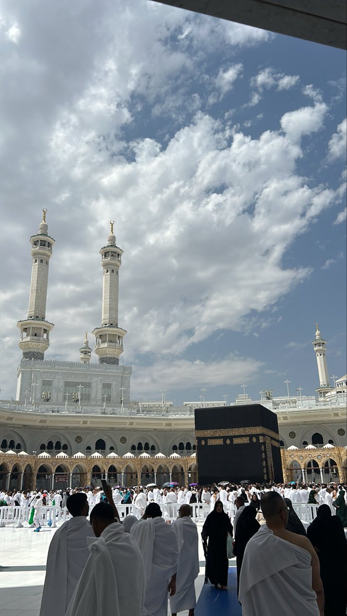 The evolver tweet media