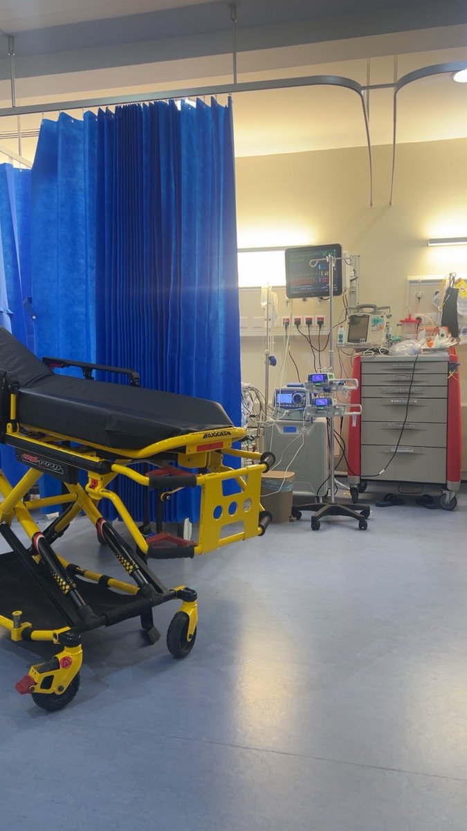 The evolver tweet media