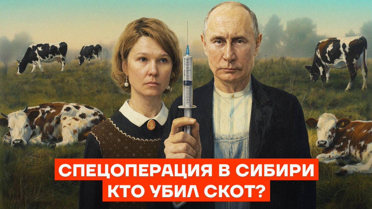 Нина Волохонская tweet media