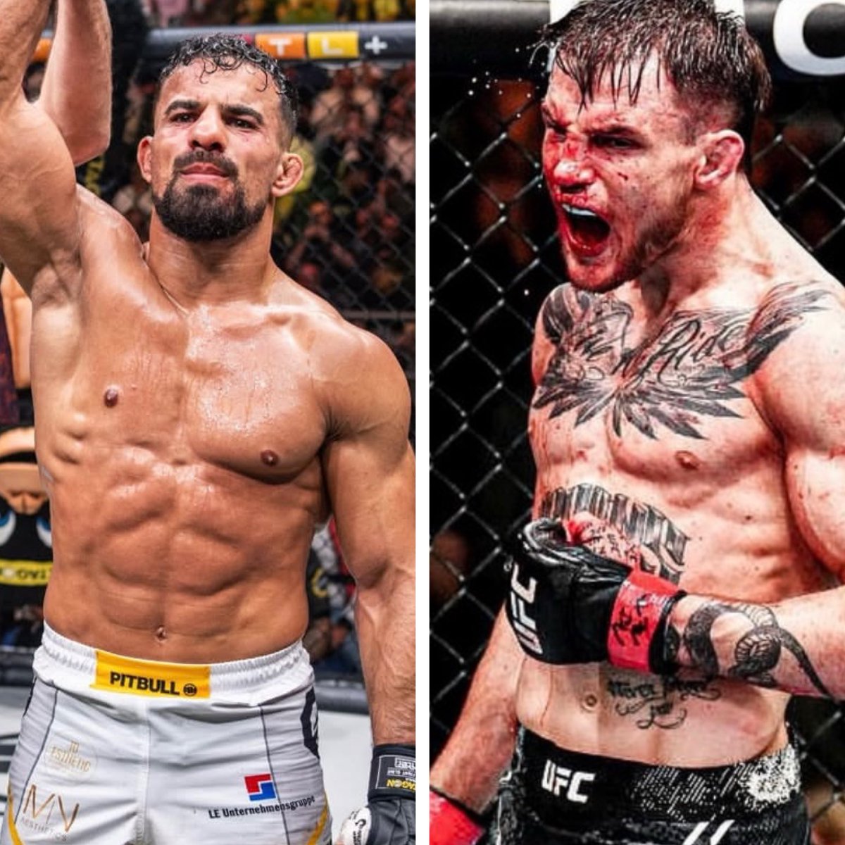 Pavel Trbušek tweet media