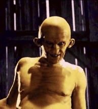 ꉂ𖦹.*𝐉𝒖𝑔𝗴𝐚𝖋𝖎𝖊𝖗*.↯·𐕣• tweet media