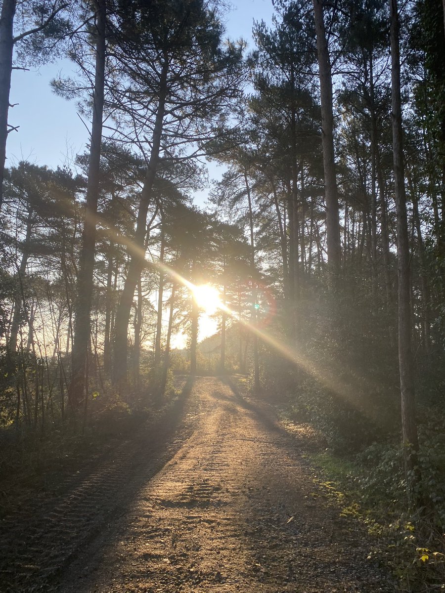 Katiecakey123 tweet media