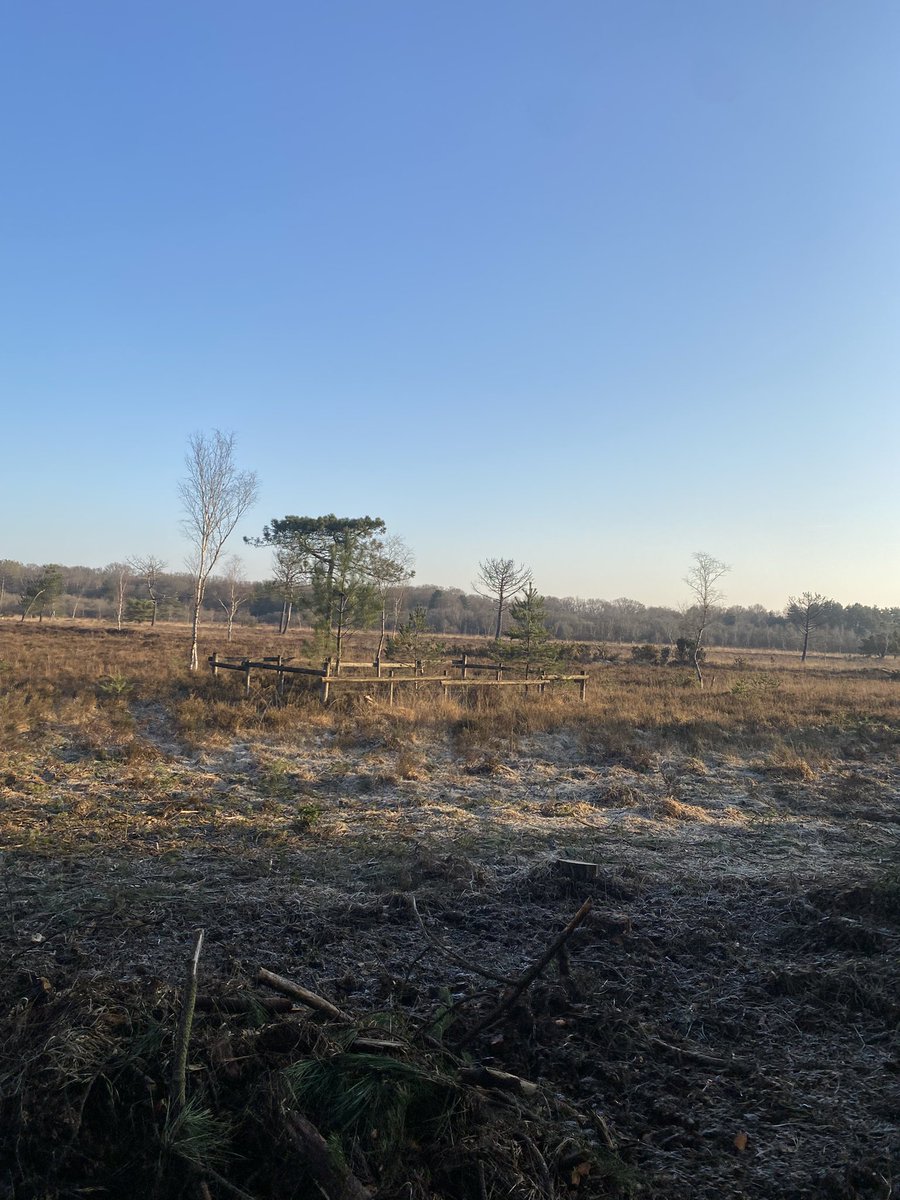 Katiecakey123 tweet media