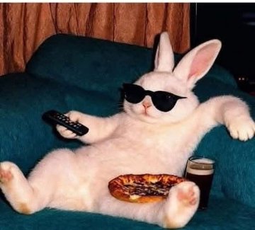 Mr Woodz tweet media