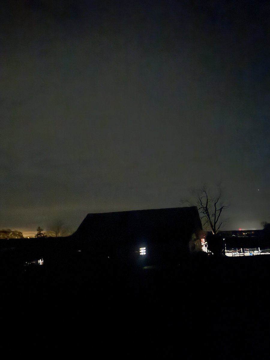 Peanut Coleman tweet media