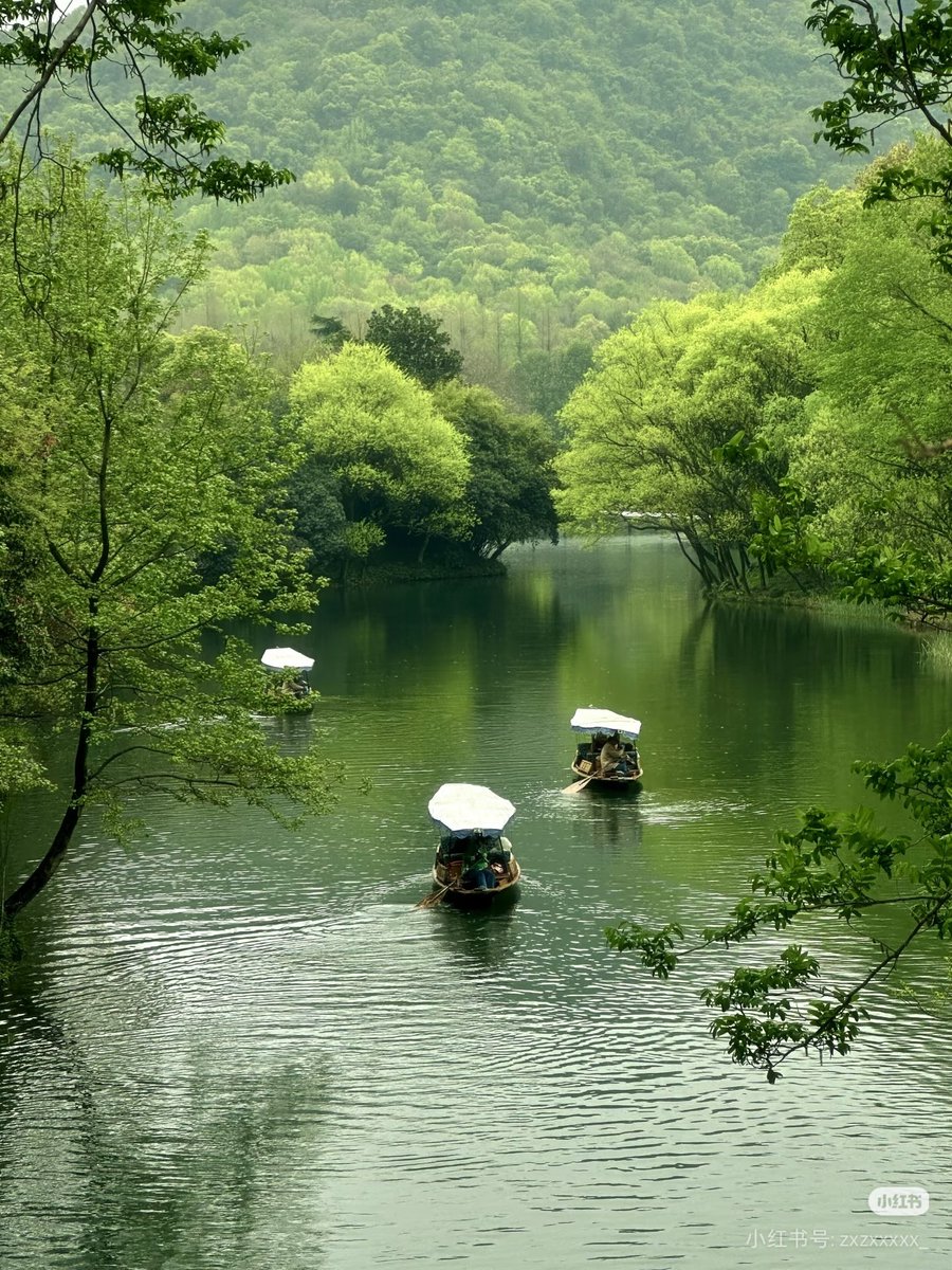Scarlett200061's tweet photo. Who’s ready to fall in love with Hangzhou’s breathtaking spring? 🌸
photos by 是钱钱Yaa
#HangzhouSpring #WestLakeBlossoms #SpringVibes #ChinaTravel https://t.co/NheoxtAkk3