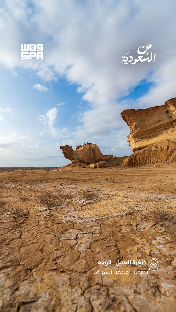 واس جودة الحياة tweet media