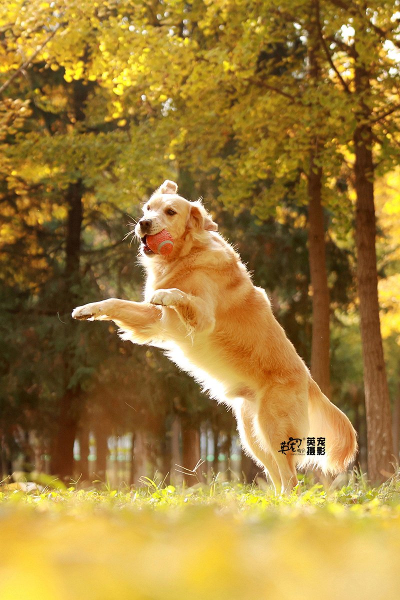 Neal Fisher tweet media