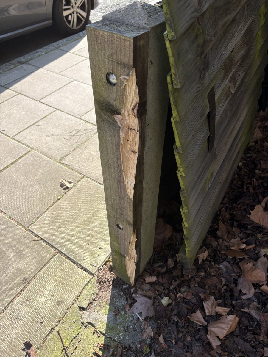 Erica Wooff tweet media