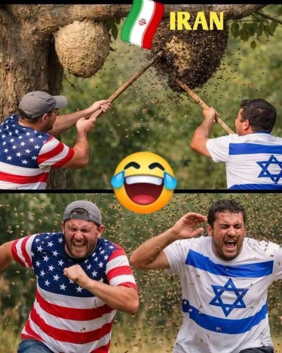 Dharmendra Yadav tweet media