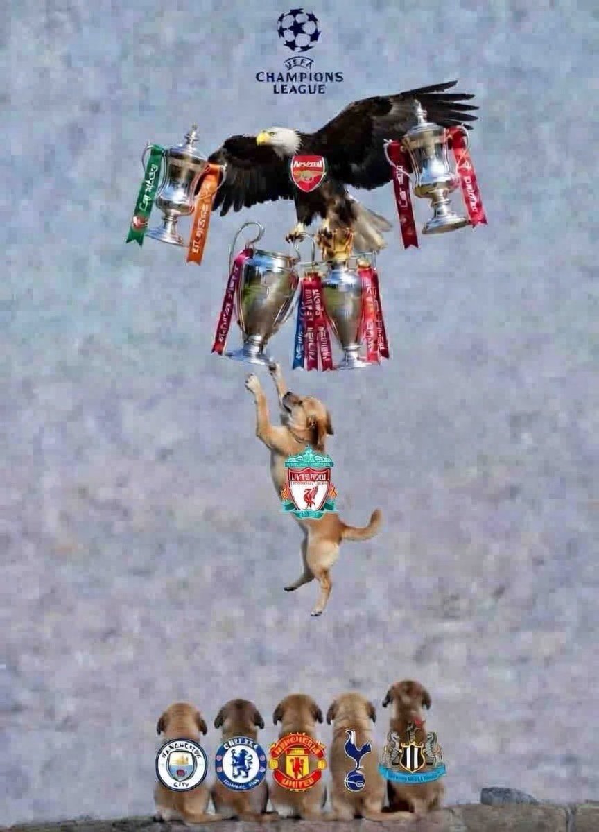 🥤𝐁𝐚𝐧𝐤𝐬 tweet media