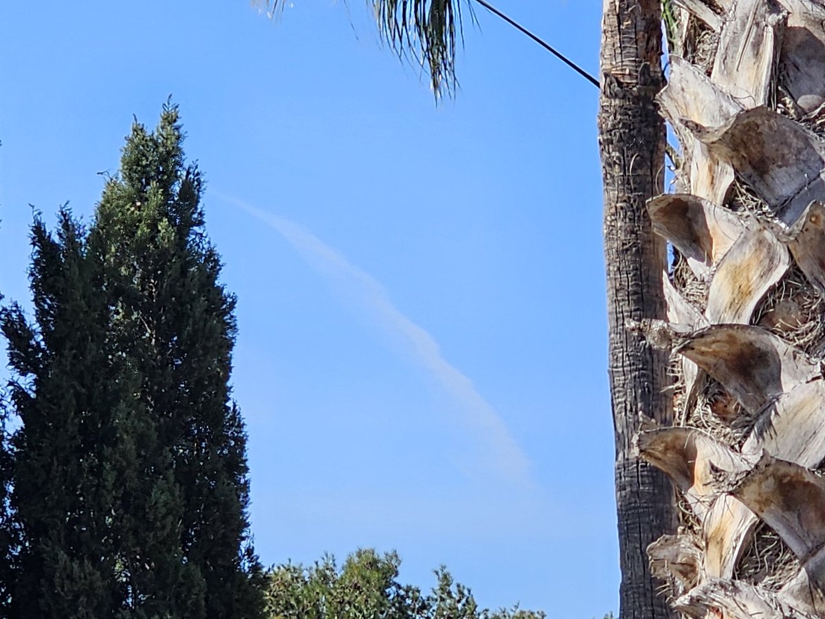 SpanglishBloke's tweet photo. Filthy evil bastards! #MurderBirds #PlanetKillers #Geoengineering https://t.co/pLIOk12fnp