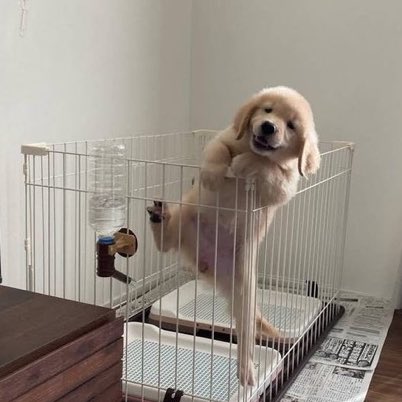 : นี่พี่เปนใครเนี่ย 
: พี่เปนแฟนหนุไง

: แฟนหนุเก่มจังเลย สูงขนาดนั้นยังปีนขึ้นมาได้ ไม่กลัวตกอ่อ 
: มั่ยกลัว ใจพิ่อยู่ทิ่นี่ สูงแค่ไหนพิ่ก็มั่ยกลัว