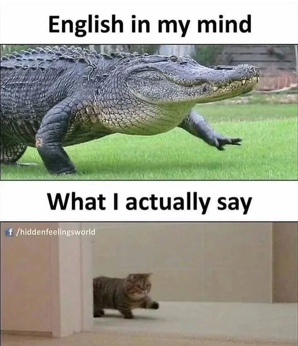 Learn English Quickly tweet media