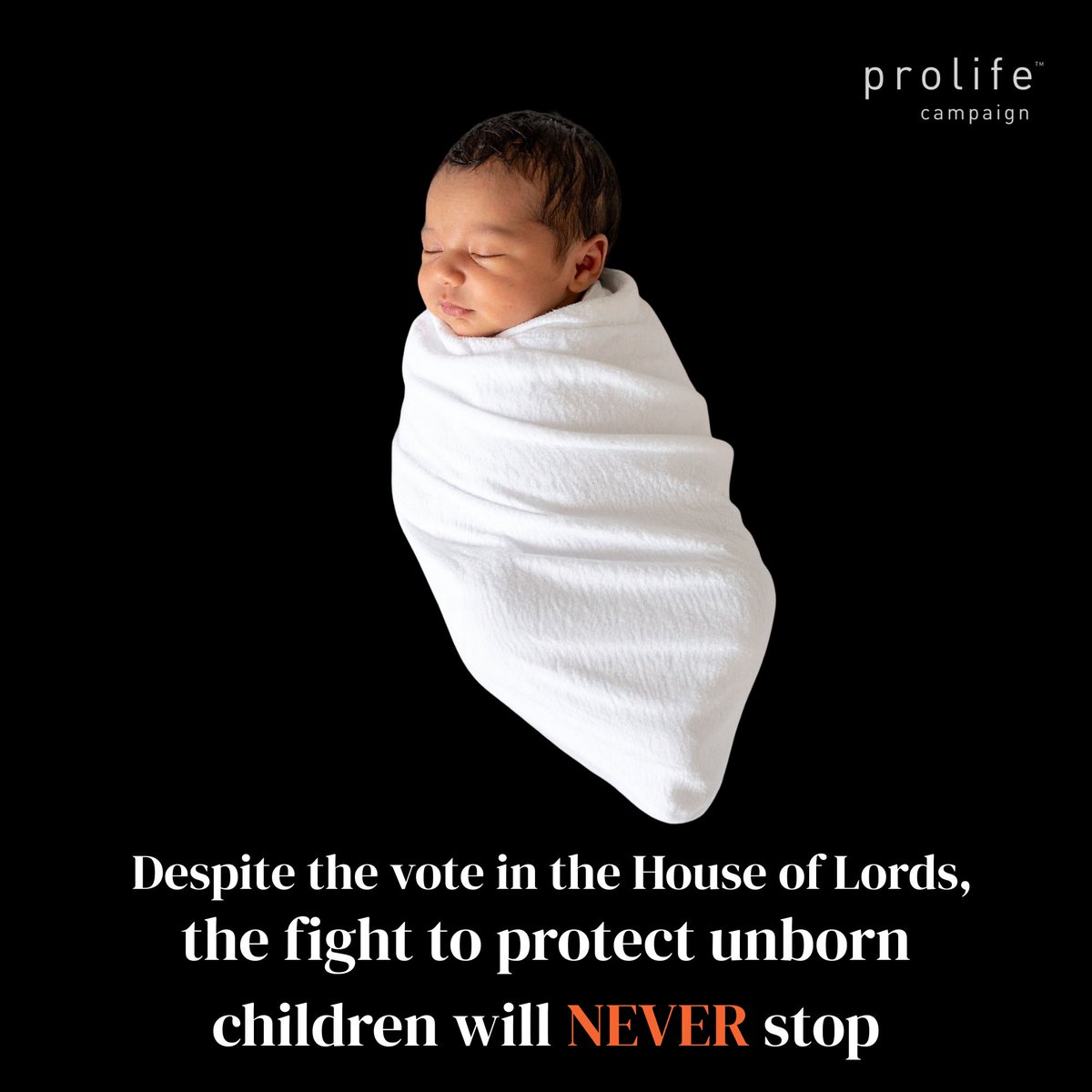 Pro Life Campaign Ireland tweet media