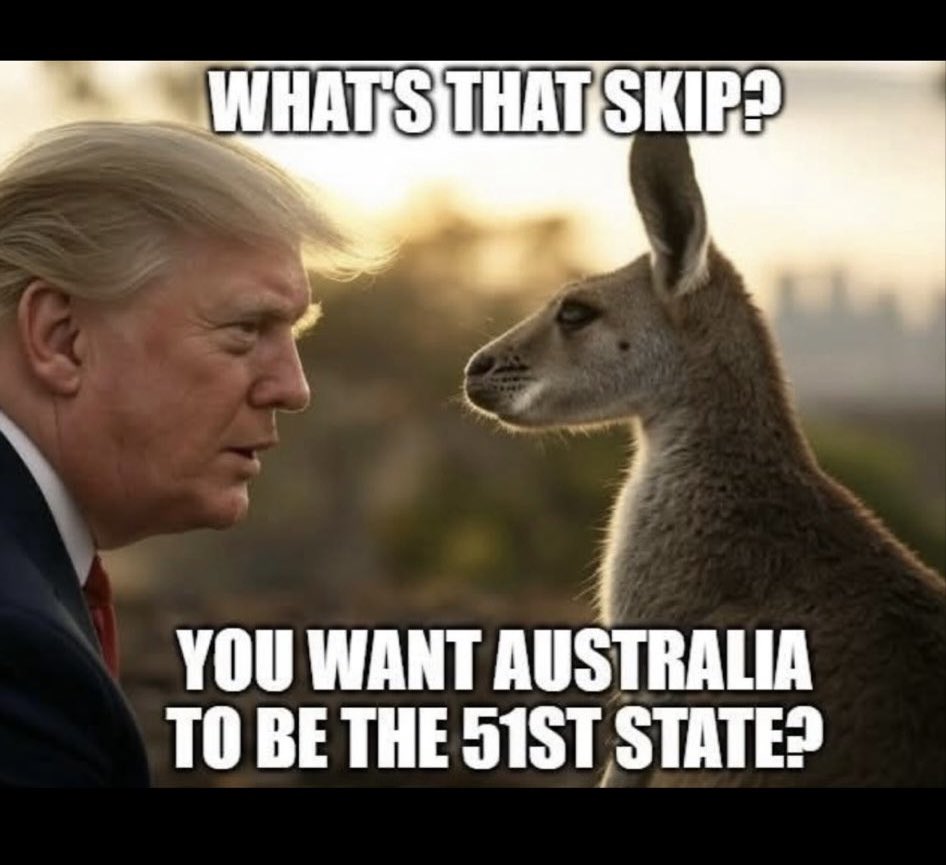 Raynbird tweet media