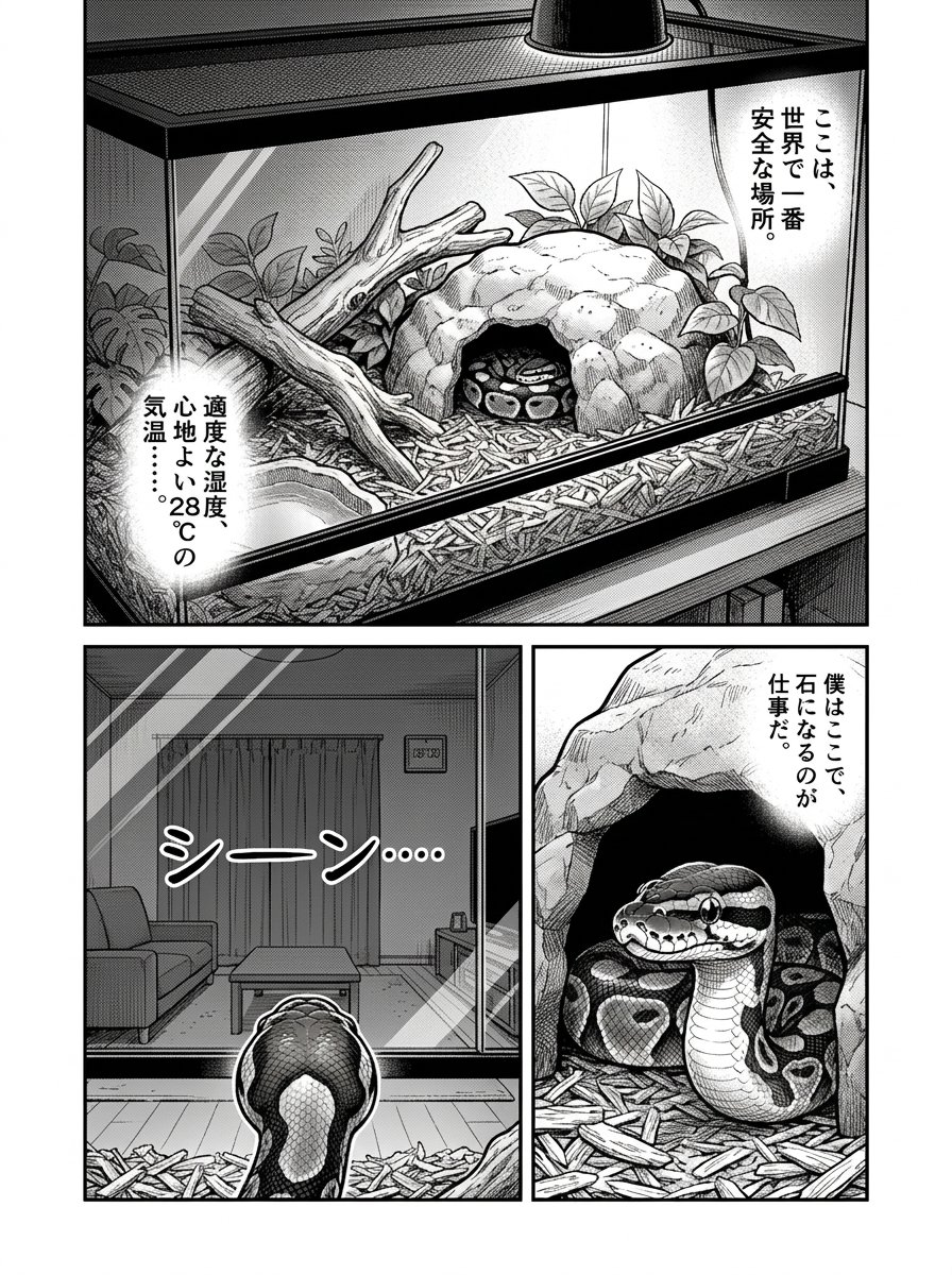 MOOTOON【公式】 tweet media