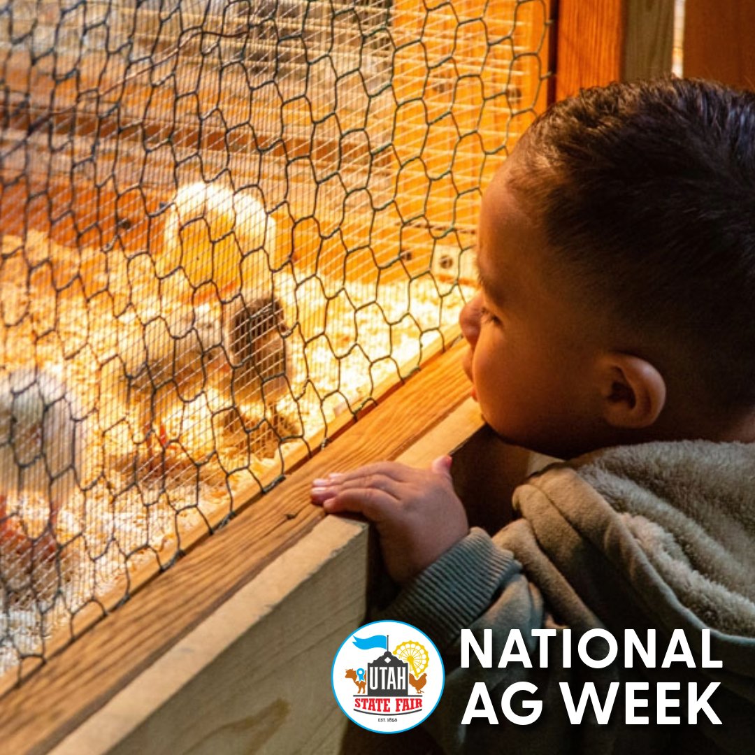 Utah State Fairpark tweet media