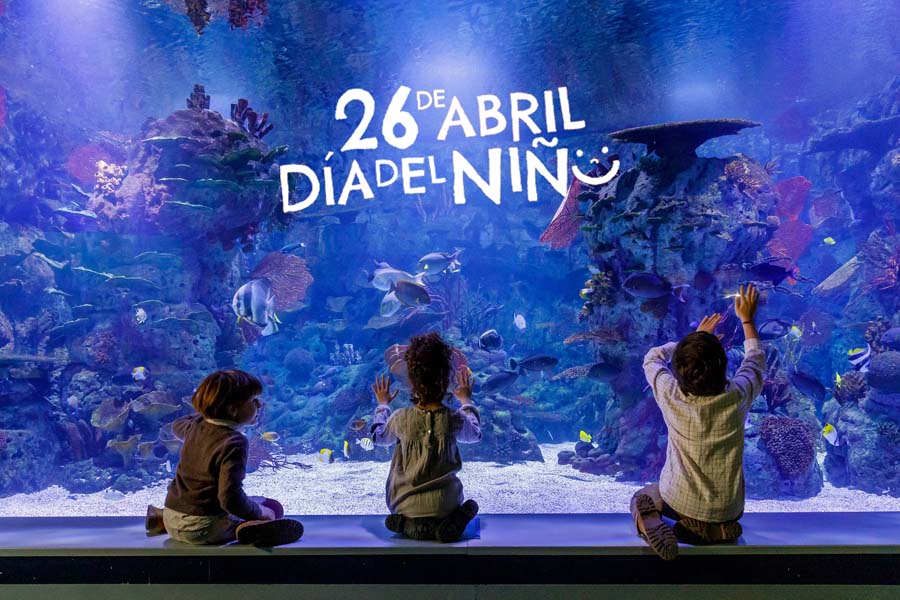 TOP COMUNICACIÓN RP tweet media