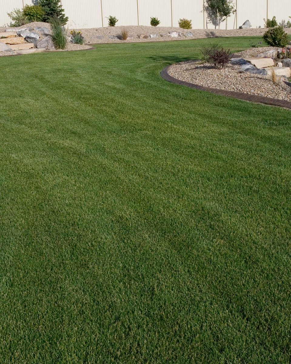 The Turfgrass Group, Inc. tweet media