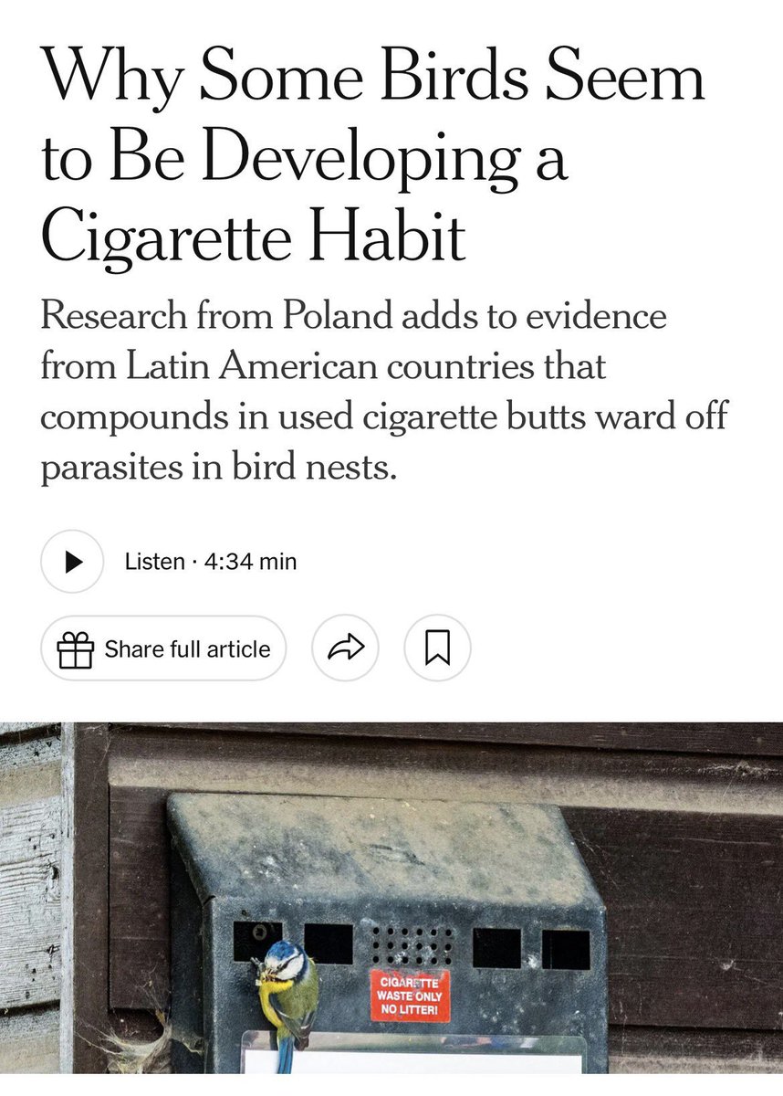 Nicholas Booth tweet media