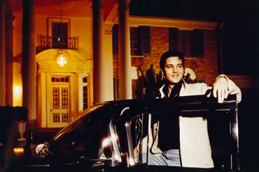 Gator Girl 🐊 🌴 tweet media