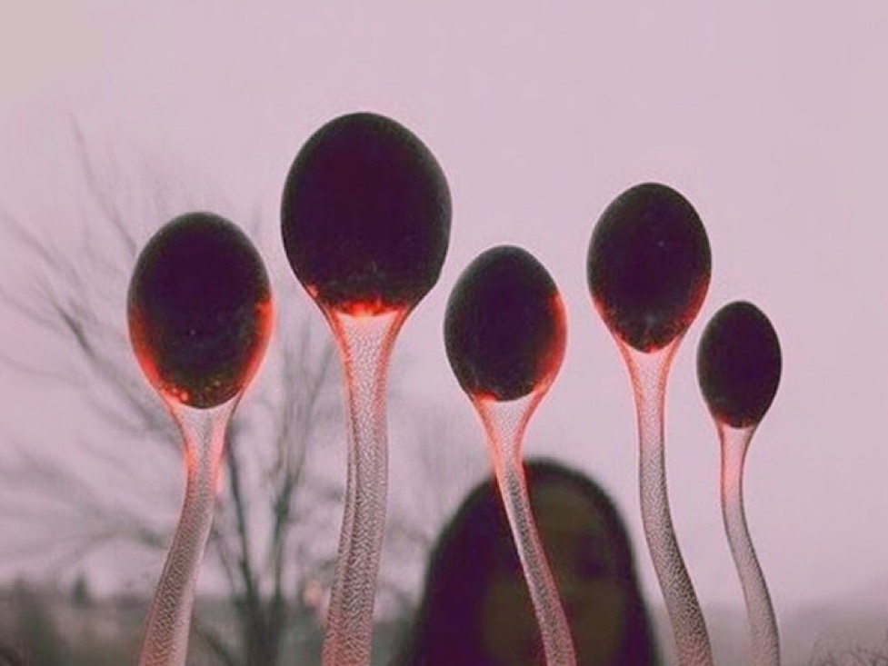 All-AI-1⚡️ tweet media