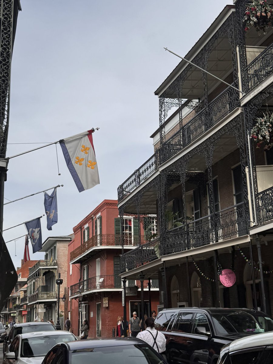 fiona ๐ tweet media