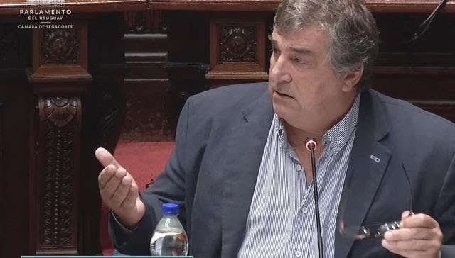 Alberto Raffo Costemalle tweet media