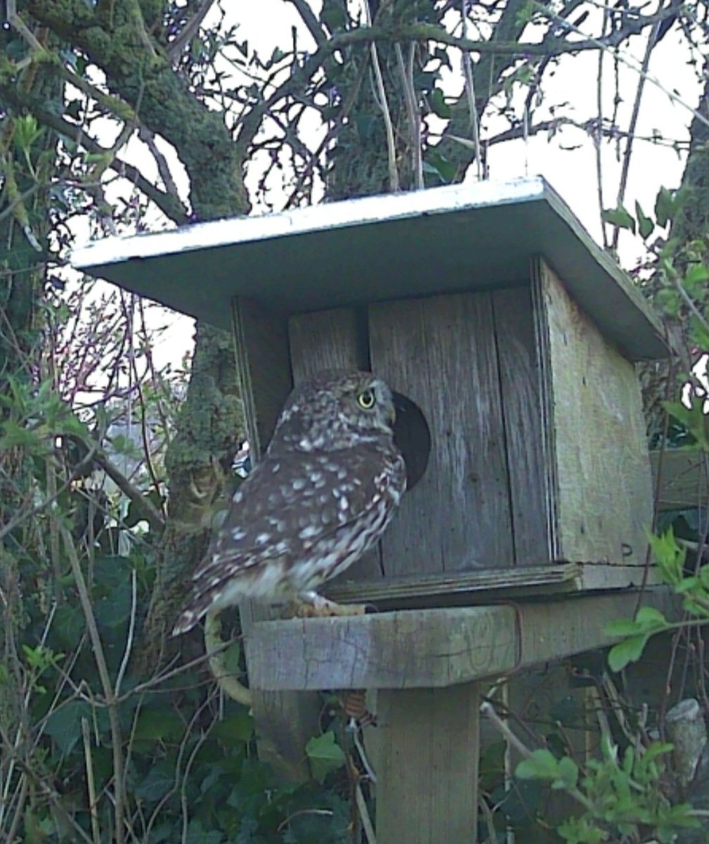 RustpuntDelagelinde tweet media