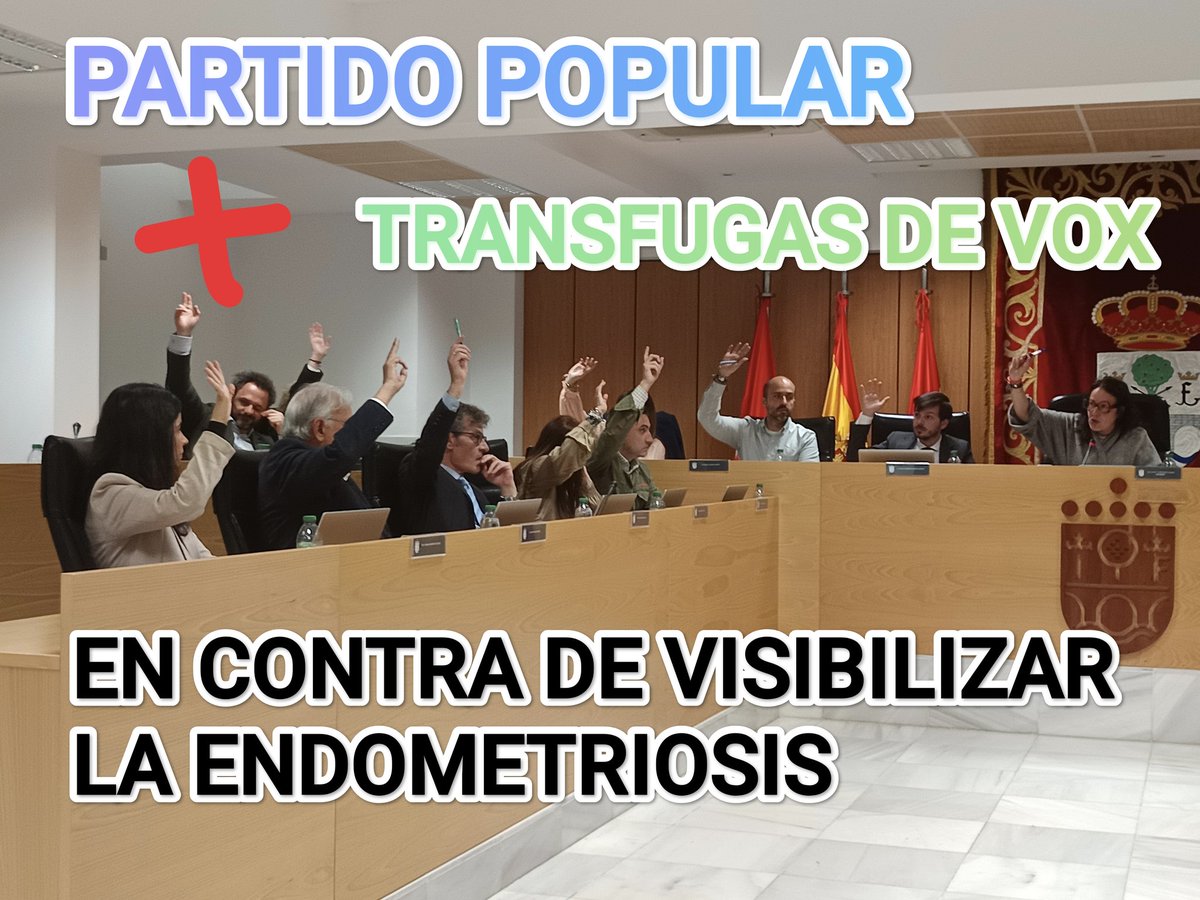 mas_sanse's tweet photo. 🗳️ Hoy en el gobierno del PP de #Sanse ha dado un paso más en la invisibilización de la mujer. 

❌ Votando en contra de la visibilización de la endometriosis.

👉🏾 No todo vale para salvar a Ayuso de sus listas de espera en ginecología, o su infrafinanciacion de la sanidad. 👇🏾 https://t.co/jptDLFczSp