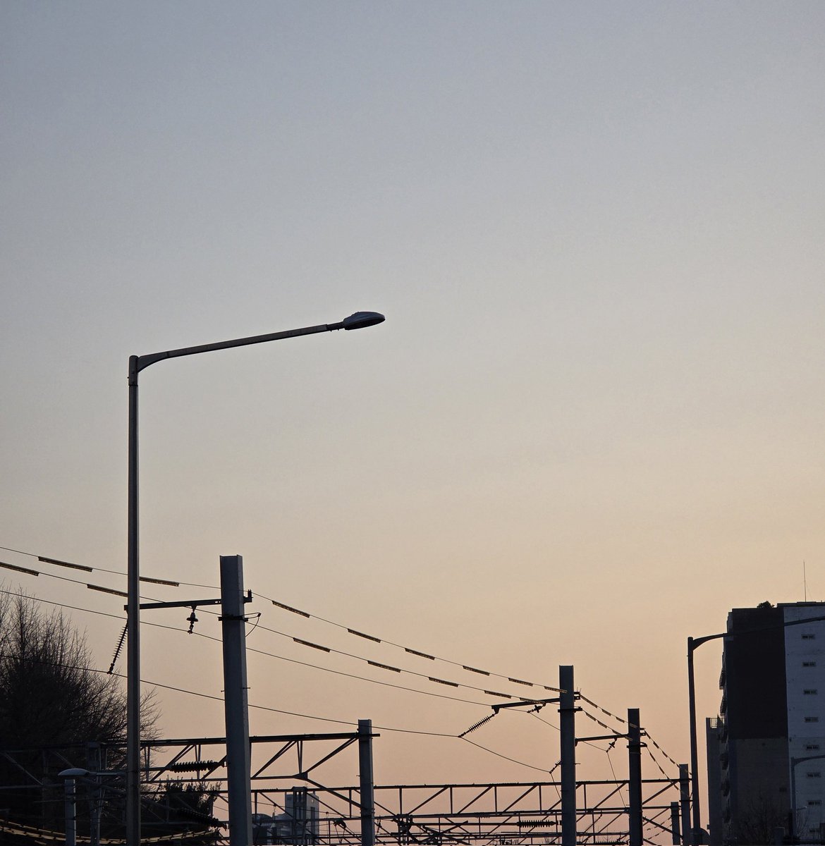 ❤️‍🔥레드오랭지🍊 tweet media