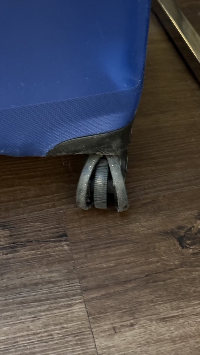 Kez 🏳️‍🌈🏳️‍⚧️✊🏾🐈‍⬛🐈🐓🧡 tweet media