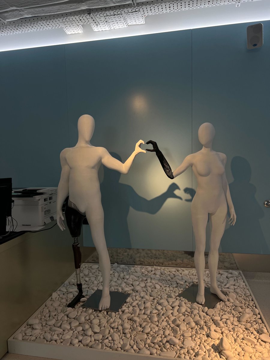 Dodo Socks tweet media