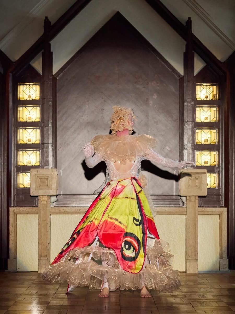 点滅◉舞踏 tweet media