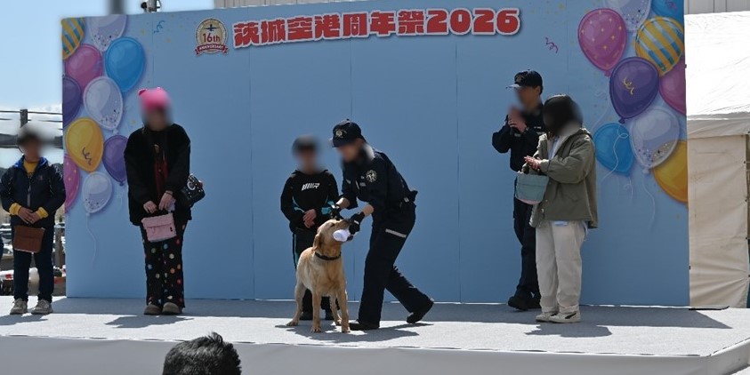 カスタム君 tweet media