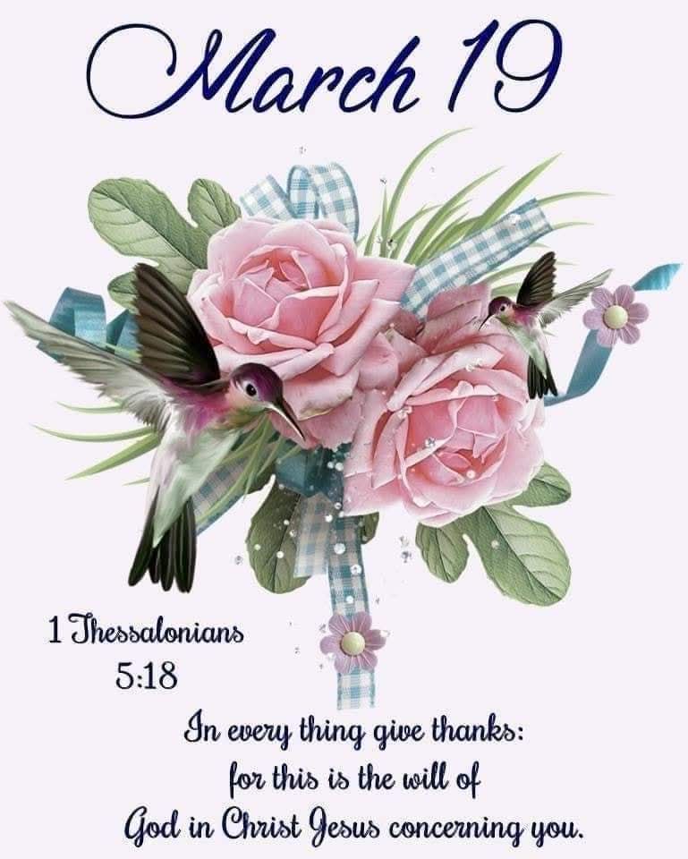 Samih Kirolos tweet media